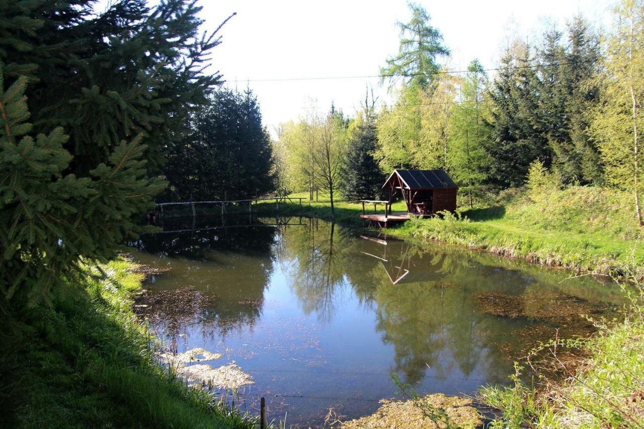 Villa Hlebówka siedlisko w Sudetach Lubawka Exterior foto